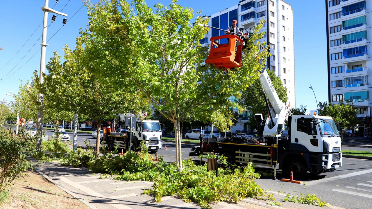 Diyarbakır’da yeşil alanlarda bakım çalışmaları başladı
