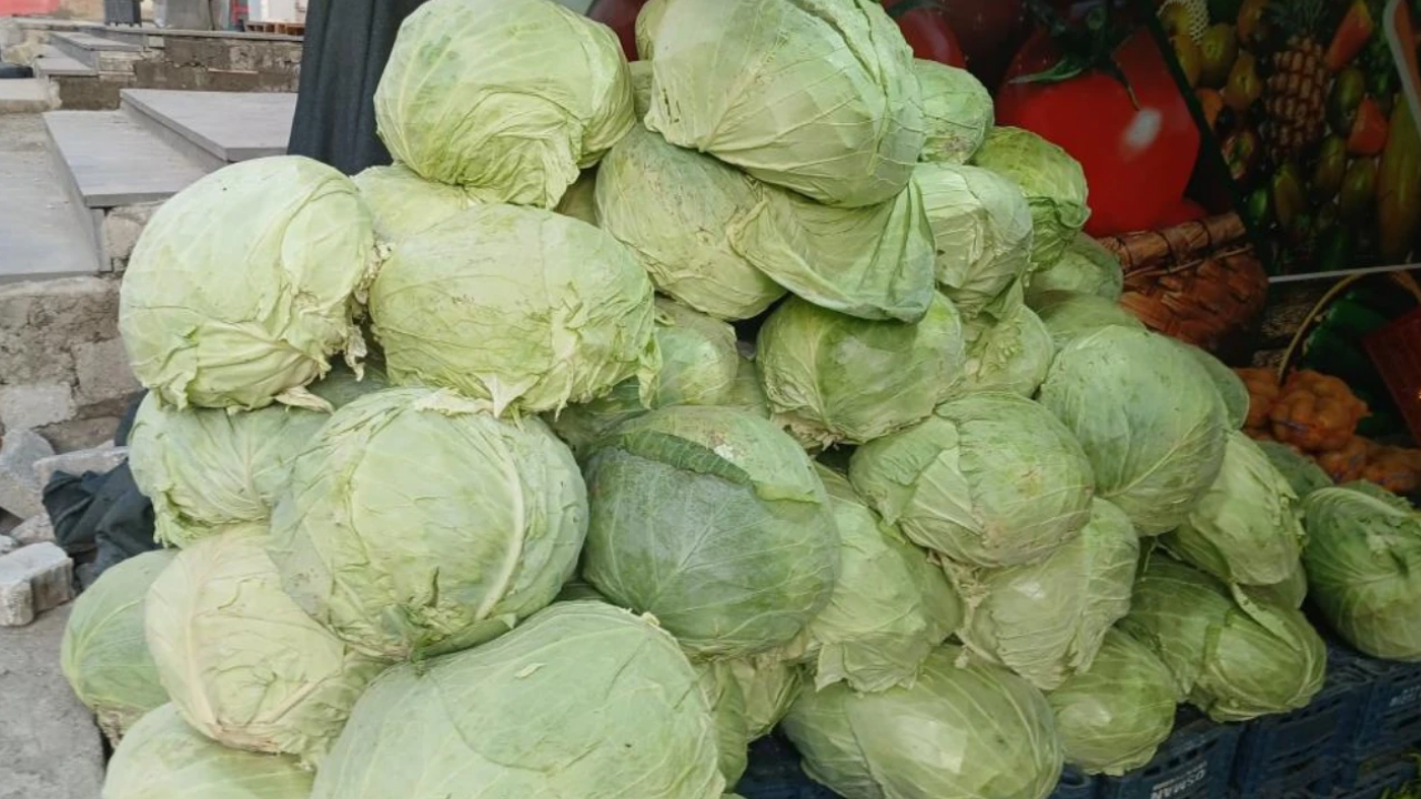 Muş’ta Hasat Edilen Lahanalar Diyarbakır’a Ulaştı: Sezon Başladı