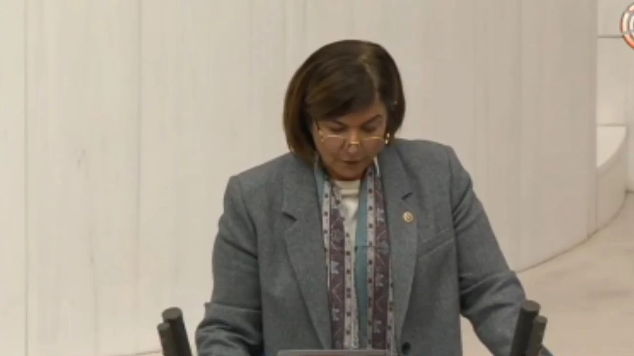 AK Partili Ataman’dan Meclis’te dikkat çeken çıkış: “Ya şimdi ya hiçbir zaman”