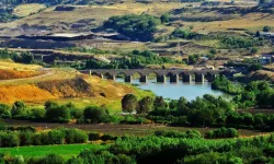 Mezopotamya'da kutsal bir nehir: Dicle Nehri