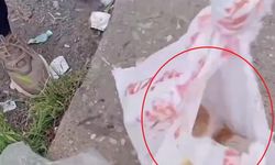 Diyarbakır’da çuvala bırakılan kedi kurtarıldı