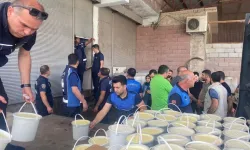Diyarbakır'da zabıta ekipleri, yoğurt tesisini mühürledi