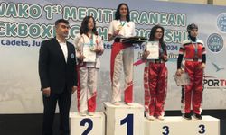 Diyarbakır Spor Lisesi Kickboksta Zirveye Ulaştı