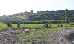 Diyarbakır'da 'Biyoçeşitlilik Günü'nde temizlik yapıldı