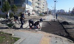 Belediye Meclisi'nden inceleme kararı çıktı