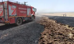 Bismil’deki yangın çevredeki vatandaşları korkuttu