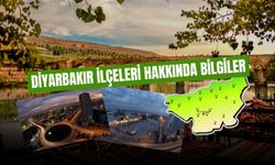 Diyarbakır İlçeleri Hakkında: Nüfusu Kaç, Kaç İlçesi Var?