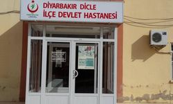Diyarbakır’da yaşlı kadına köpek saldırdı