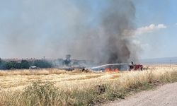 Diyarbakır’da buğday tarlası kül oldu