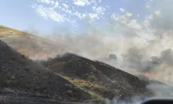 Diyarbakır'da biçerdöver yangını: 450 dönüm buğday kül oldu
