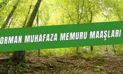 Orman Muhafaza Memuru Maaşı 2024: Temmuz Zamları!