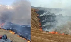 Diyarbakır'da yangın: 3 bin dönümlük zarar