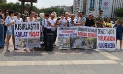 Hayvanseverler yasa tasarısına karşı Diyarbakır'dan seslendi: Geri çekin!