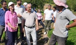 Dicle Vadisi'nde sürdürülebilirlik ve koruma adımları