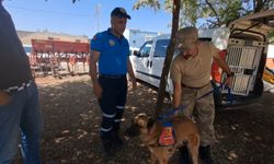 Diyarbakır'da kayıp çocuk için çalışmalar devam ediyor