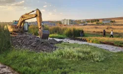 Narin Güran’ın bulunması için arama çalışmaları genişletildi