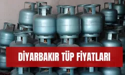 Diyarbakır Tüp Fiyatları 2024: Zamlı Liste! İpragaz, Aygaz, Milangaz, Bizimgaz