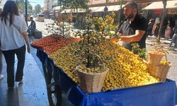 Diyarbakır’da sonbaharın habercisi Giwij’ler tezgahlarda yerini aldı