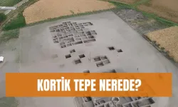 Körtik Tepe nerede? Körtik Tepe'den çıkan buluntular ve tarihi