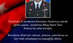 Diyarbakır İl Jandarma Komutan Yardımcısı hayatını kaybetti