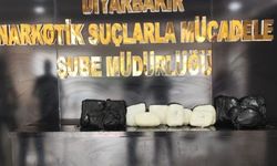 Diyarbakır Havalimanı'nda 11 Kilo 400 gram skunk ele geçirildi