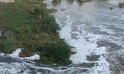 Dicle Nehri'nde köpük alarmı