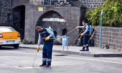 Haşerelere karşı ilaçlama yapılıyor