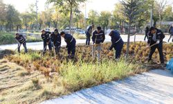 DBB, Yenişehir Millet bahçesi'nde kapsamlı iyileştirme çalışması başlattı