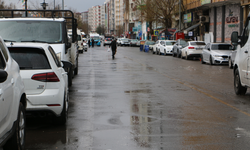 Diyarbakır'da karla karışık yağmur etkili oldu