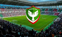 Amedspor taraftarlarının tezahüratları ve saha olayları cezaya neden oldu