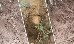 Lice'de bulunan kemikler kazıda parçalandı