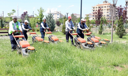 Yaz öncesi park ve yeşil alan bakımları başladı
