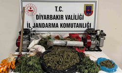 Hazro’da kenevir operasyonu: 3 şüpheli gözaltına alındı