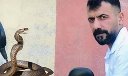 Dicle’de yılan ısırdığı çoban hayatını kaybetti