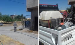 Kocaköy’de haşere alarmı: Yetkililer harekete geçti