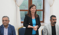 Kürt dil ve kültürü için önemli adım
