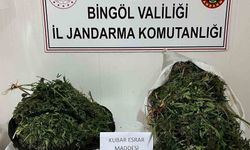 Bingöl’de bagajda yaklaşık 17 kilo esrar ele geçirildi