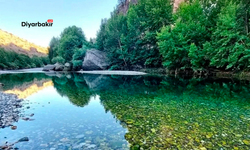 Diyarbakır Eğil’de piknik alanına yasak
