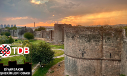 Diyarbakır’da Uluslararası Diş Hekimliği Kongresi heyecanı