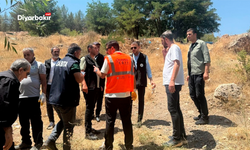 Eğil’de piknik alanlarında temizlik