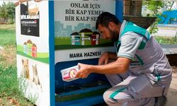 Diyarbakır’da sokak hayvanları için serinletici önlem