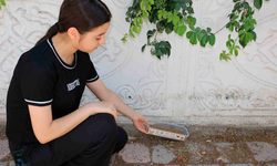 Diyarbakır’da öğrencilerden sokak hayvanlarına sıcak hava duyarlılığı