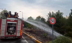 Dicle Üniversitesi kampüsünde örtü yangını