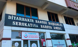 Diyarbakır’da üvey anne kabusu: 4 çocuğa işkence iddiası