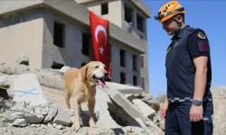 Diyarbakır’ın sadık görevlisi pusat, sayısız göreve katıldı