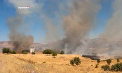 Lice’de yangın yeniden alevlendi