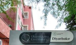 Diyarbakır Olgunlaşma Enstitüsü 45 usta öğretici alacak