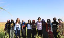 Eşbaşkan Sincar’dan kadın işçilere ziyaret