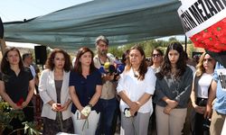 Bucak’tan Narin anmasında çağrı: Mekanizmalar güçlendirilsin