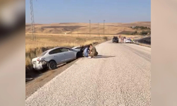 Diyarbakır-Silvan yolu ölüm kapanına döndü: 10 saatte 5 kaza